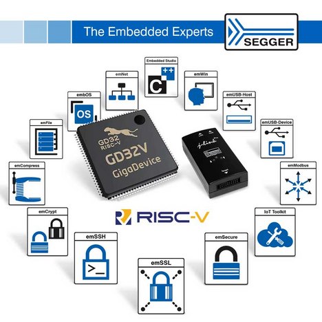 Flash-Based RISC-V Microcontroller